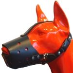 Muzzle leather Orca (1)